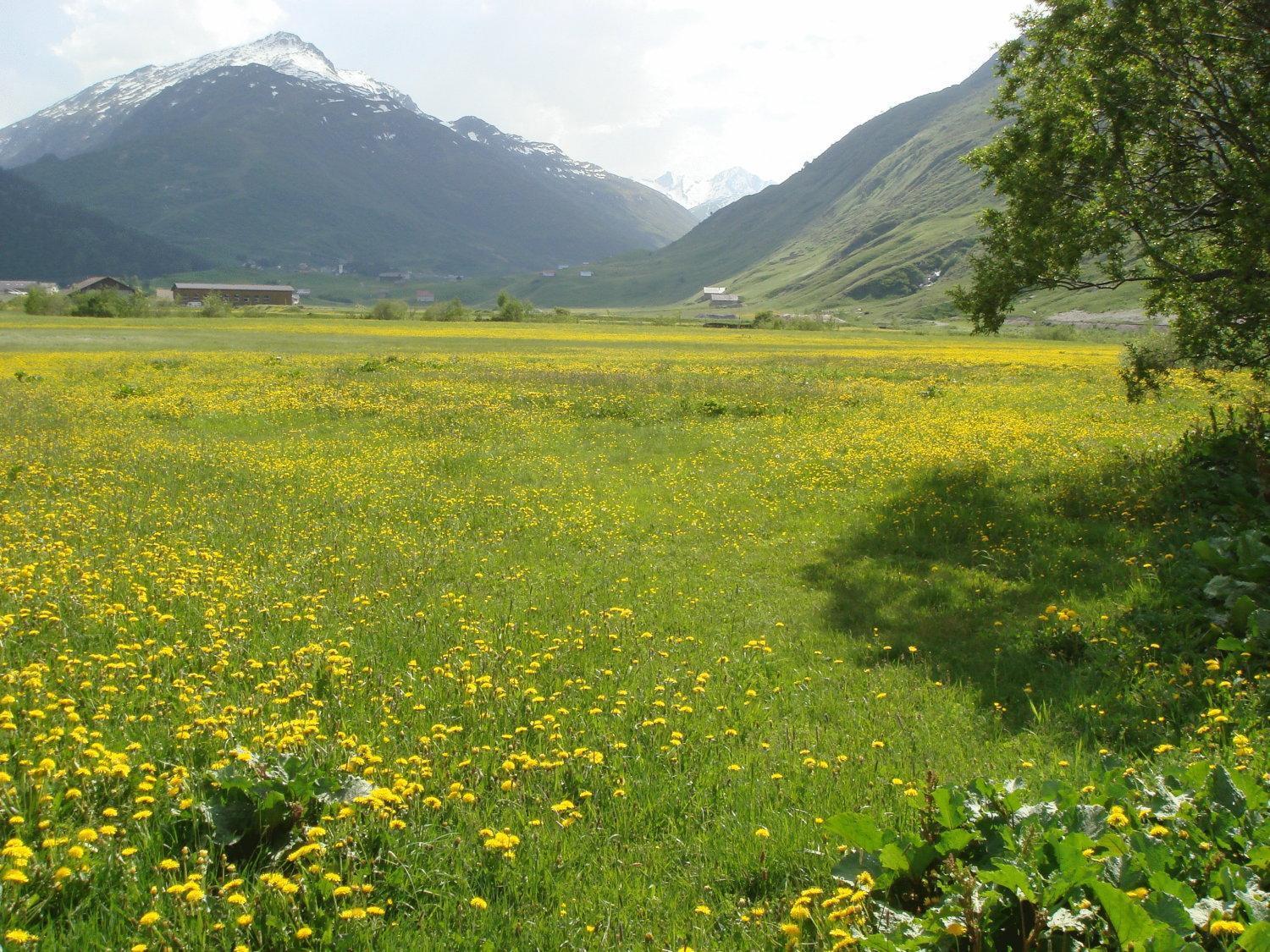 Gasthaus Skiklub อันเดอร์แมท ภายนอก รูปภาพ